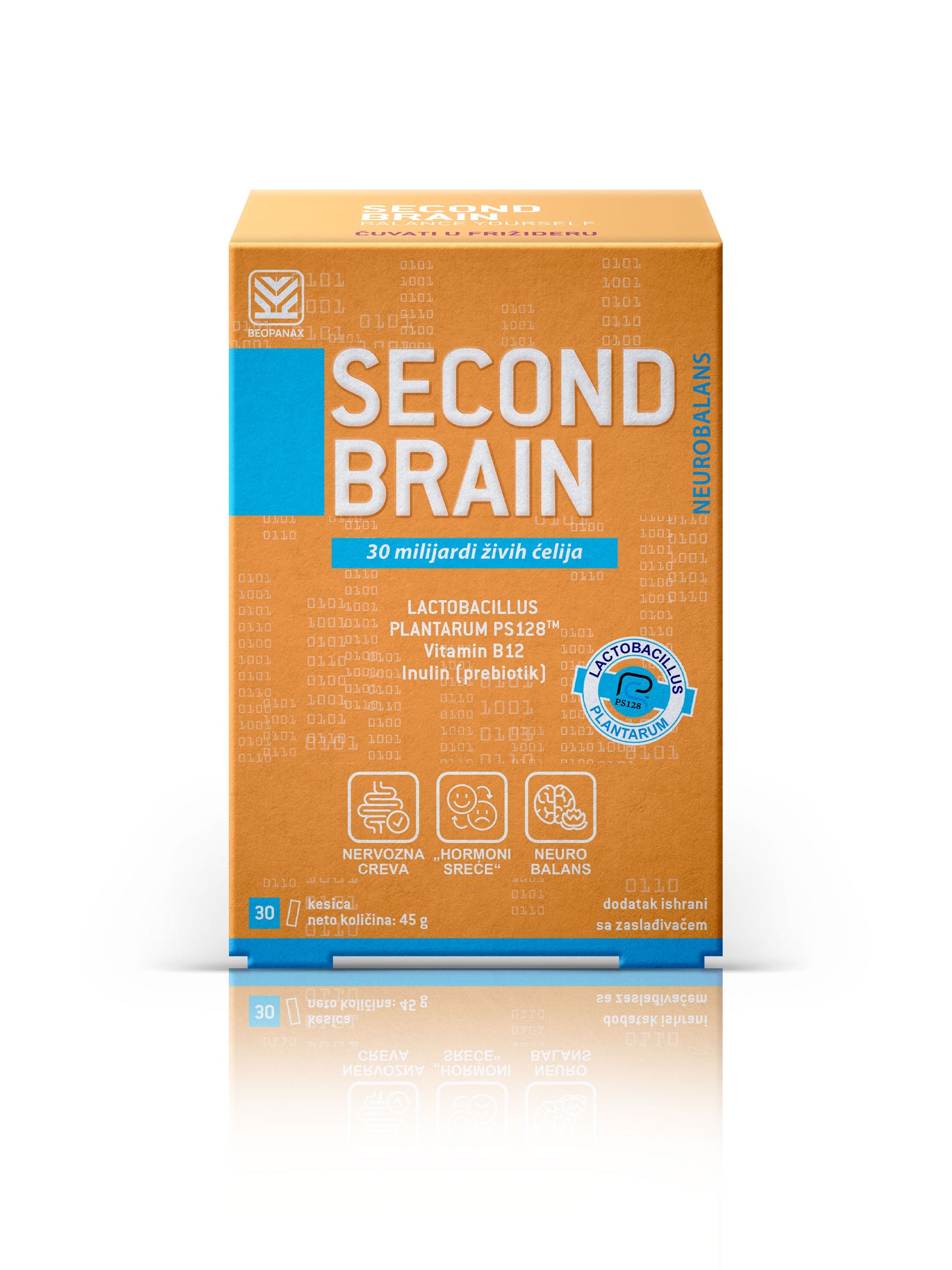 Second Brain