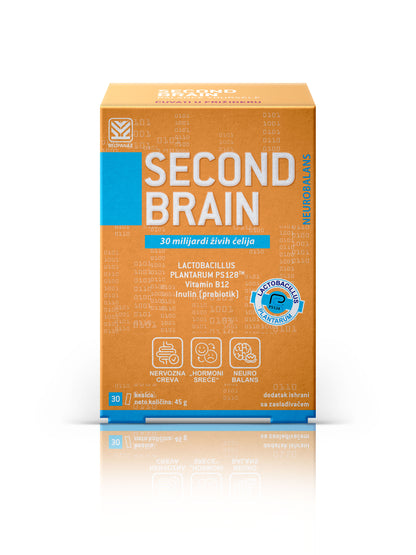 Second Brain