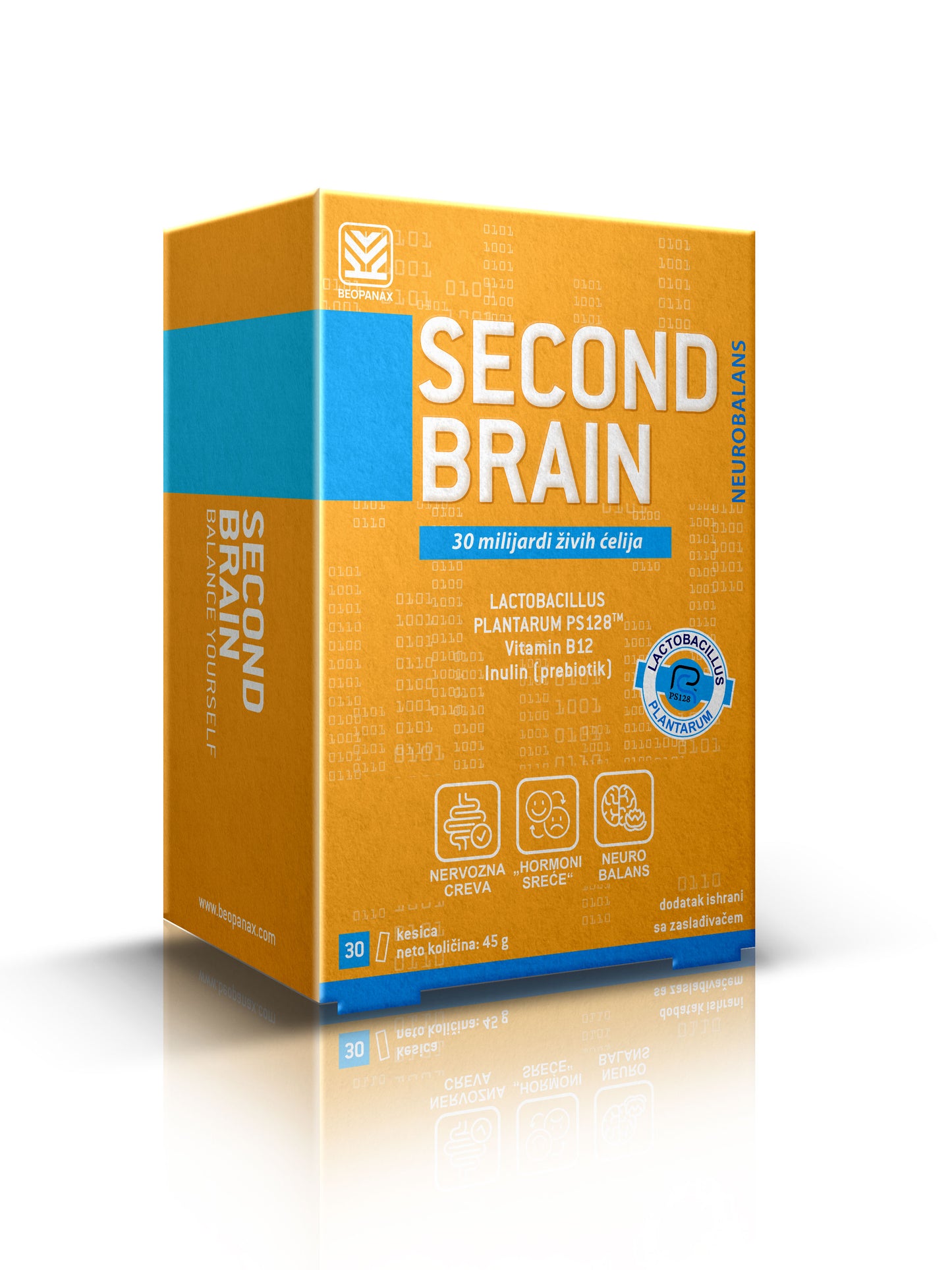 Second Brain
