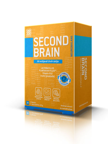 Second Brain