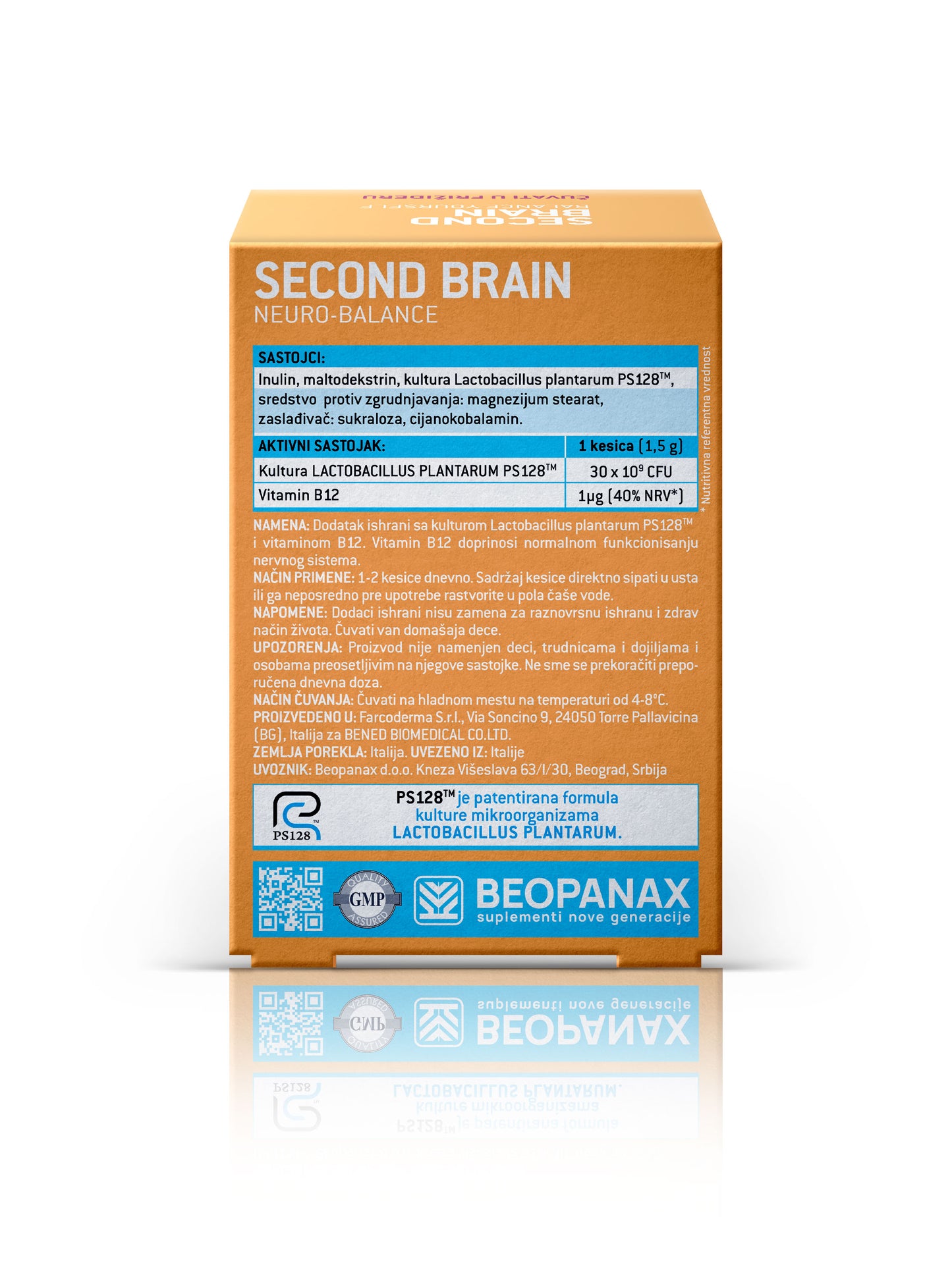 Second Brain