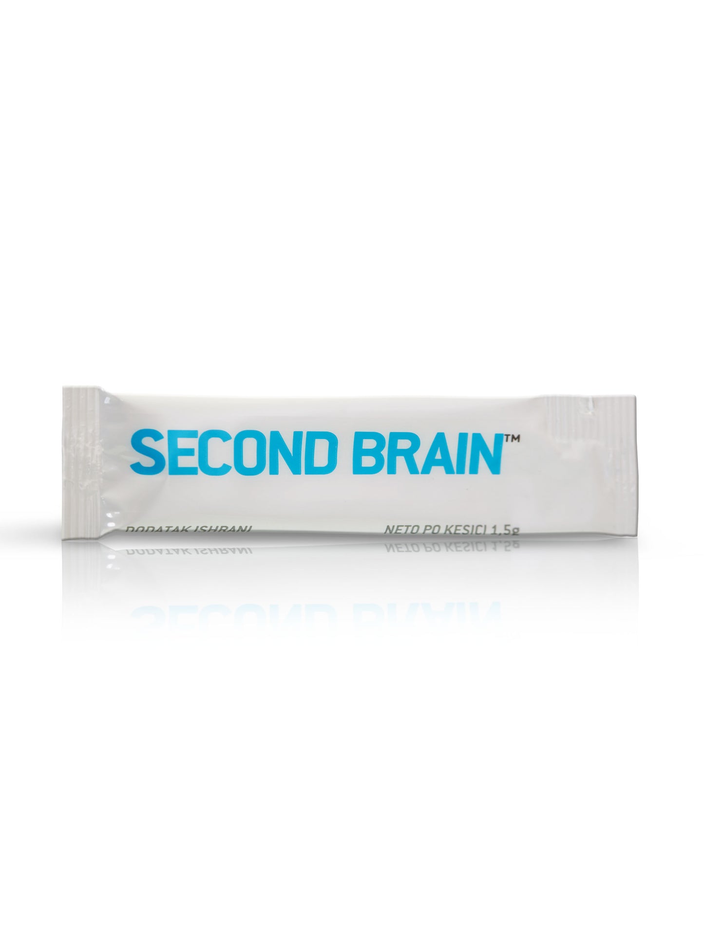 Second Brain
