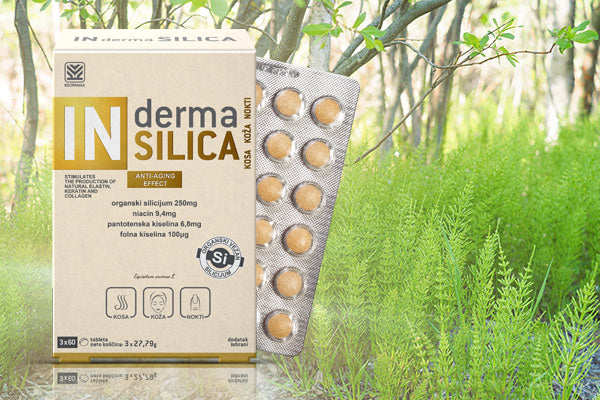 IN Derma SILICA